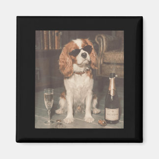 Cavalier King Charles drinkt champagne grappig Magneet
