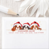 Cavalier King Charles Étiquettes de adresse espagn (En situation)