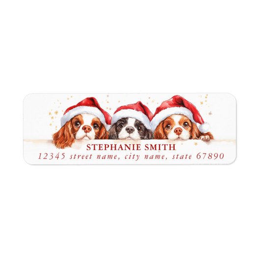 Cavalier King Charles Étiquettes de adresse espagn (Devant)