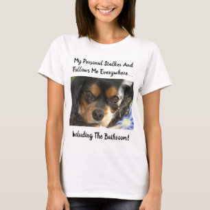 Cavalier King Charles Eyes Personal Stalker T-shirt
