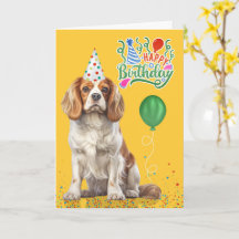 Cavalier King Charles Feesthoed Geel Verjaardag