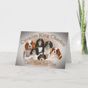 Cavalier King Charles kan niet één cadeau hebben Feestdagen Kaart