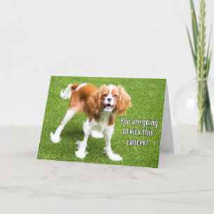Cavalier King Charles Kick Deze kankerKaart Kaart