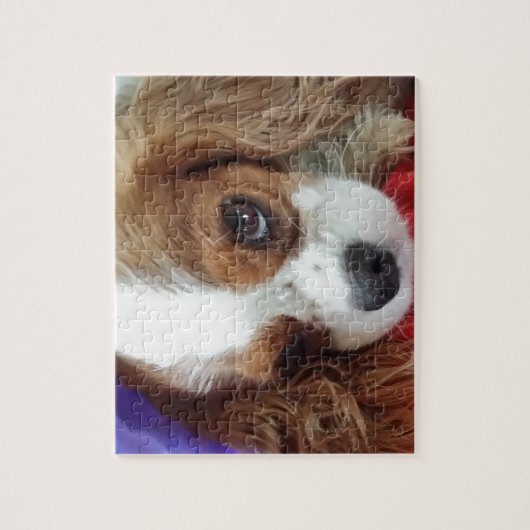 Cavalier King Charles Legpuzzel (Verticaal)
