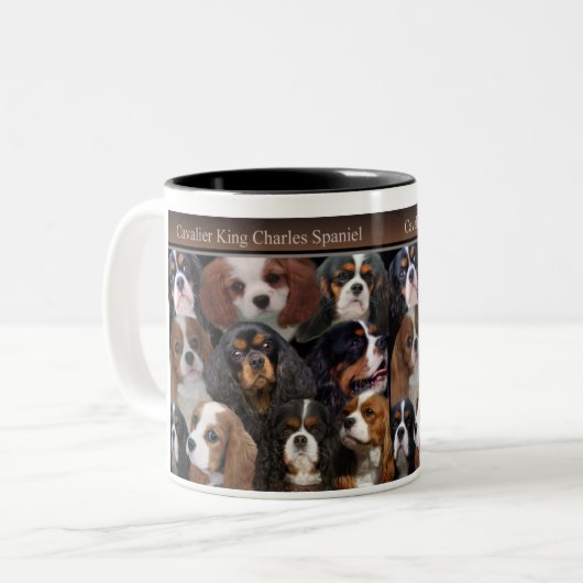 Cavalier King Charles Mok (Voorkant links)