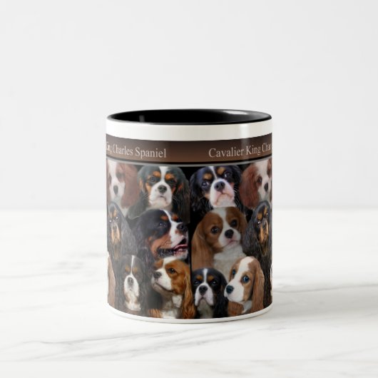 Cavalier King Charles Mok (Center)