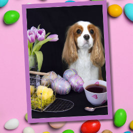 Cavalier King Charles Paas Tulpen Eieren Kaart