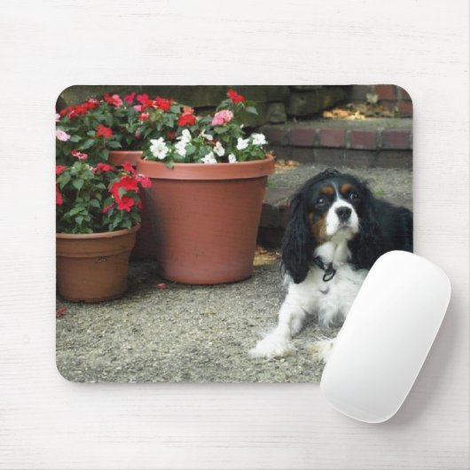 Cavalier King Charles Puppy Dog met bloemen Muismat (Met muis)