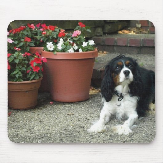 Cavalier King Charles Puppy Dog met bloemen Muismat (Voorkant)