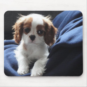 Cavalier King Charles puppy mousepad Muismat