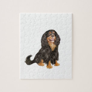 Cavalier King Charles (R) - Zwart en lichtbruin.pn Legpuzzel