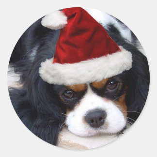 Cavalier King Charles Ronde Sticker