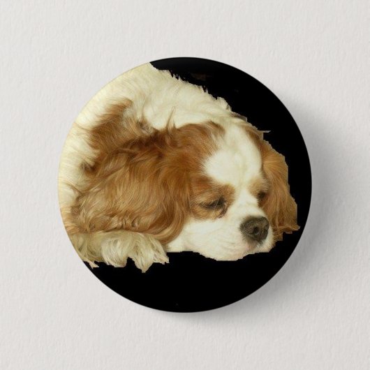 CAVALIER KING CHARLES SLEEPING RONDE BUTTON 5,7 CM (Voorkant)