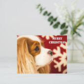Cavalier King Charles Snowflake kerst Feestdagenkaart (Staand voorkant)