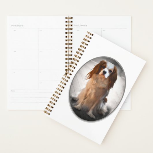 Cavalier King Charles Spaniel (Devant avec enveloppe)