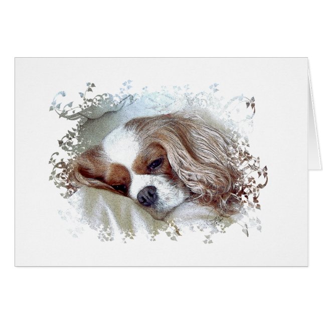 Cavalier King Charles Spaniel (Devant horizontal)