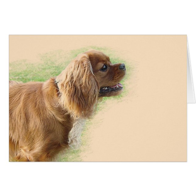 Cavalier King Charles Spaniel (Voorkant Horizontaal)