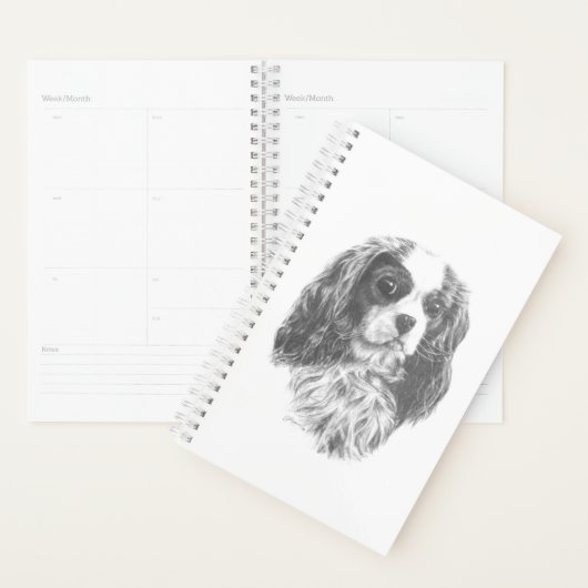 Cavalier King Charles Spaniel (Devant avec enveloppe)