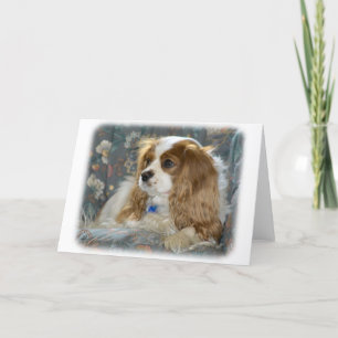Cavalier King Charles Spaniel 8R16D-01 Kaart