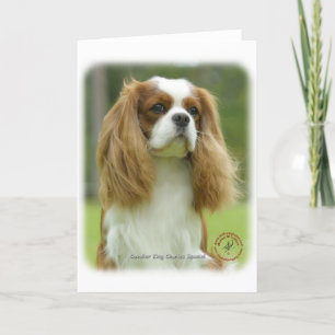 Cavalier King Charles Spaniel 9F097D-08 Kaart