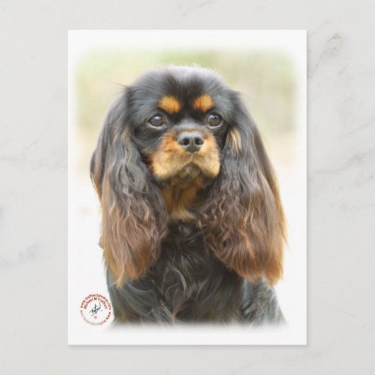 Cavalier King Charles Spaniel 9F51D-03 Briefkaart (Voorkant)
