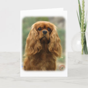 Cavalier King Charles Spaniel 9F51D-10 Kaart