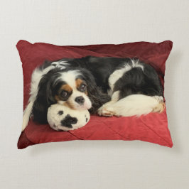 Cavalier King Charles Spaniel Accent Pillow Accent Kussen
