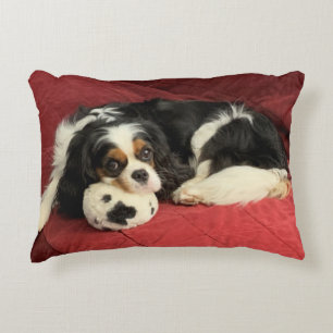 Cavalier King Charles Spaniel Accent Pillow Kussen