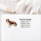Cavalier King Charles Spaniel Adresetiketten Etiket (Insitu)