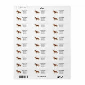 Cavalier King Charles Spaniel Adresetiketten Etiket (Full Sheet)