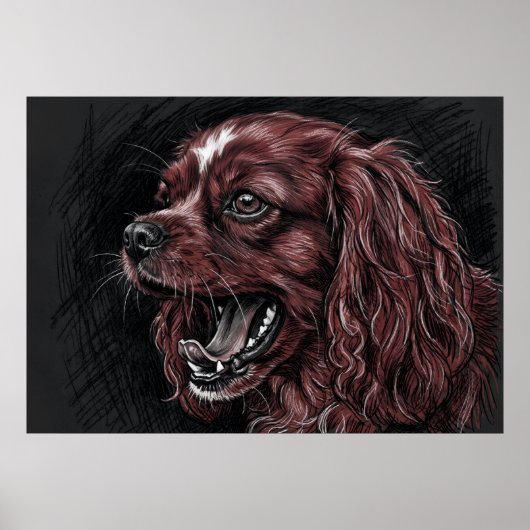 Cavalier King Charles Spaniel Affiche de croquis s (Devant)
