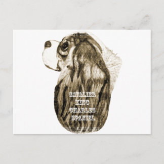 Cavalier King Charles Spaniel Antiek Profiel Briefkaart