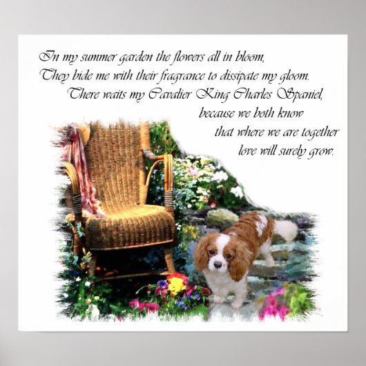 Cavalier King Charles Spaniel Art Poster (Voorkant)