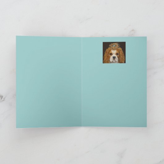 Cavalier King Charles Spaniel avec carte de nid (Intérieur)