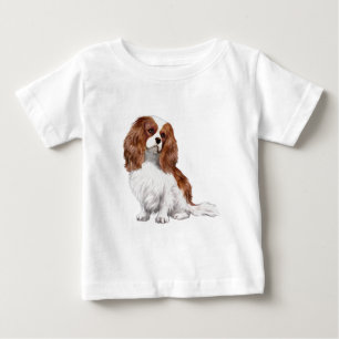 Cavalier King Charles Spaniel (Blenheim A)