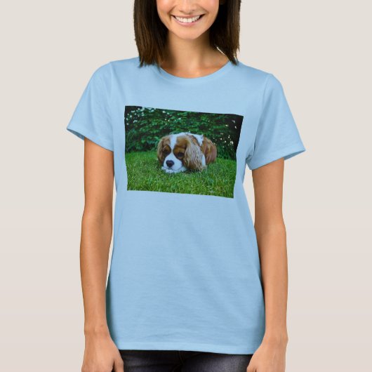 Cavalier King Charles Spaniel Blenheim in Grass T-shirt (Voorkant)