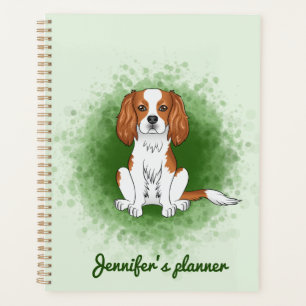 Cavalier King Charles Spaniel Blenheim sur fond ve
