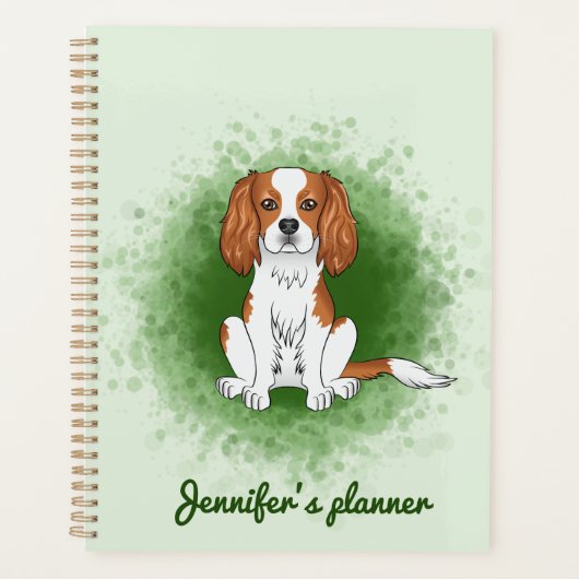 Cavalier King Charles Spaniel Blenheim sur fond ve (Devant)