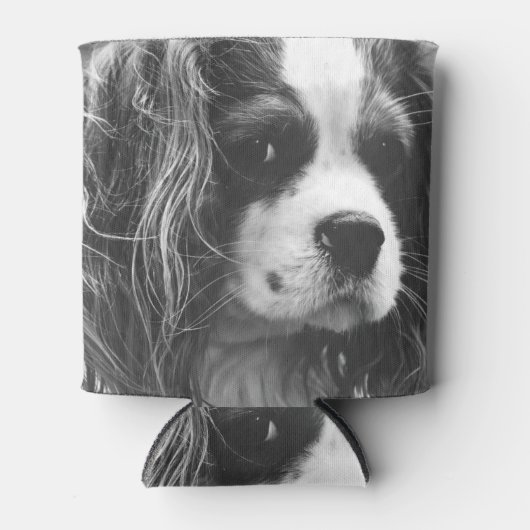 Cavalier King Charles Spaniel Blikjeskoeler (Voorkant)