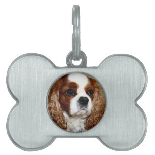 Cavalier King Charles Spaniel Bone Pet Tag Huisdieren Naamplaatje