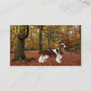 Cavalier King Charles Spaniel Breede Visitekaartje
