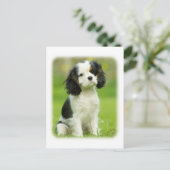 Cavalier King Charles Spaniel Briefkaart (Staand voorkant)