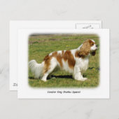 Cavalier King Charles Spaniel Briefkaart (Voorkant / Achterkant)