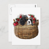 Cavalier King Charles Spaniel Briefkaart (Voorkant / Achterkant)