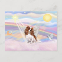 Cavalier King Charles Spaniel