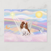 Cavalier King Charles Spaniel Briefkaart (Voorkant)