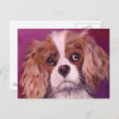 Cavalier King Charles Spaniel Briefkaart (Voorkant / Achterkant)