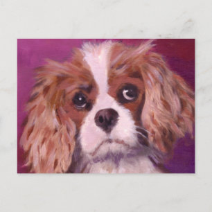 Cavalier King Charles Spaniel Briefkaart
