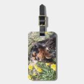 Cavalier King Charles Spaniel Brother & Zuster Bagagelabel (Voorkant verticaal)