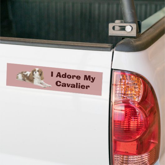Cavalier King Charles Spaniel Bumpersticker (Op Truck)